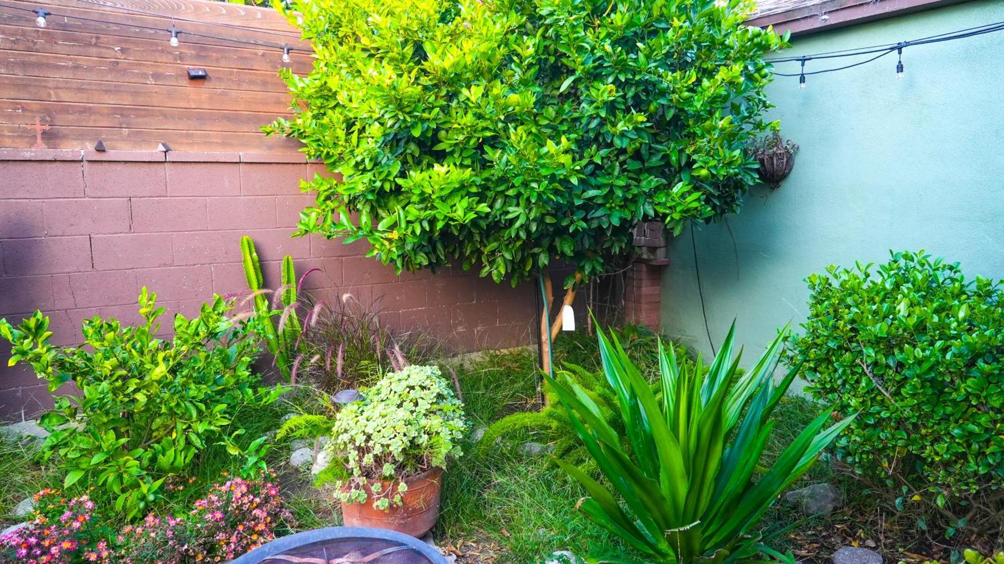 Cozy Private Guest House Los Angeles Bagian luar foto