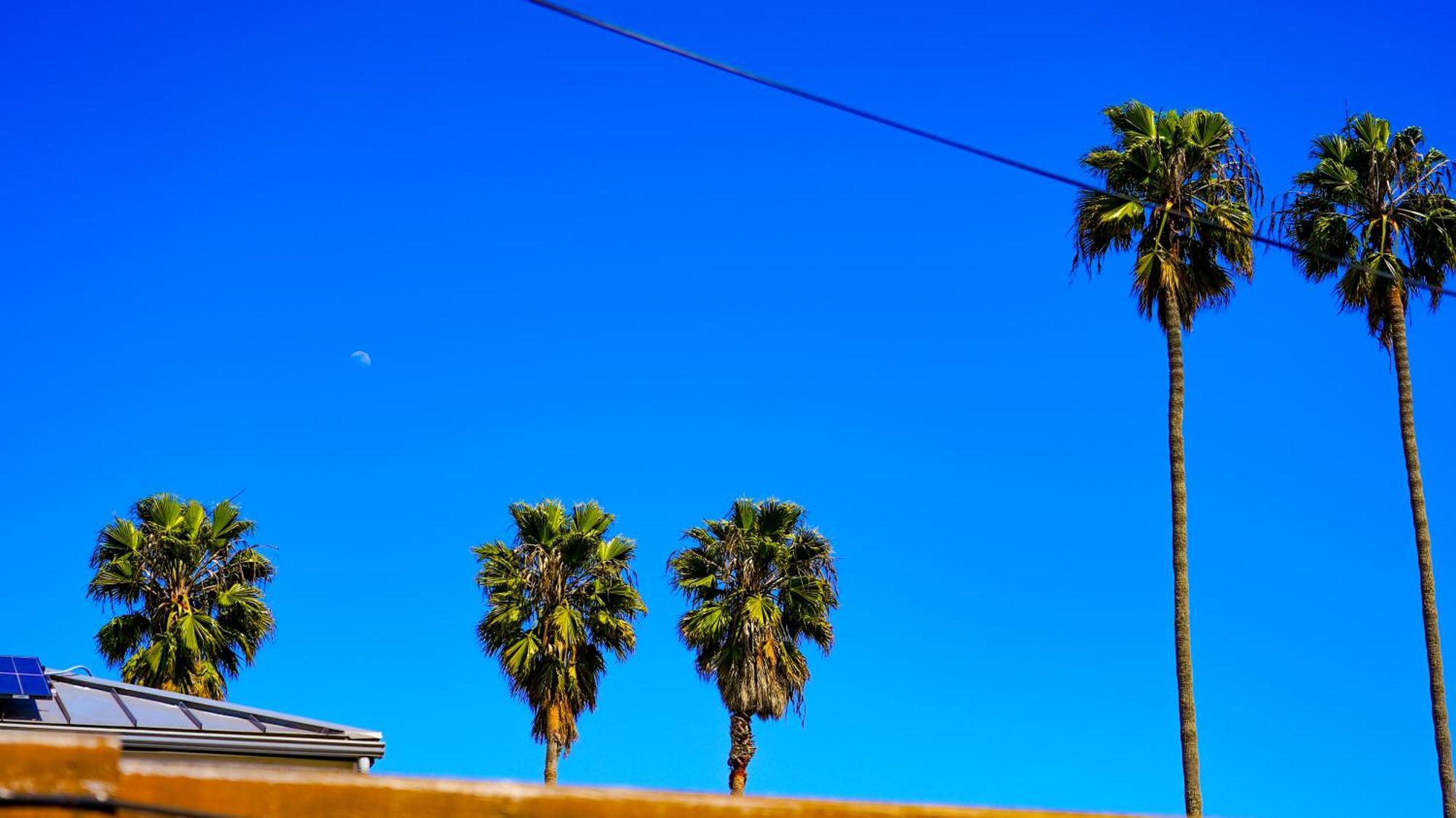 Cozy Private Guest House Los Angeles Bagian luar foto